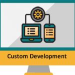 Custom Development (Achieve ROI Faster)