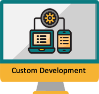 Custom Development (Achieve ROI Faster)