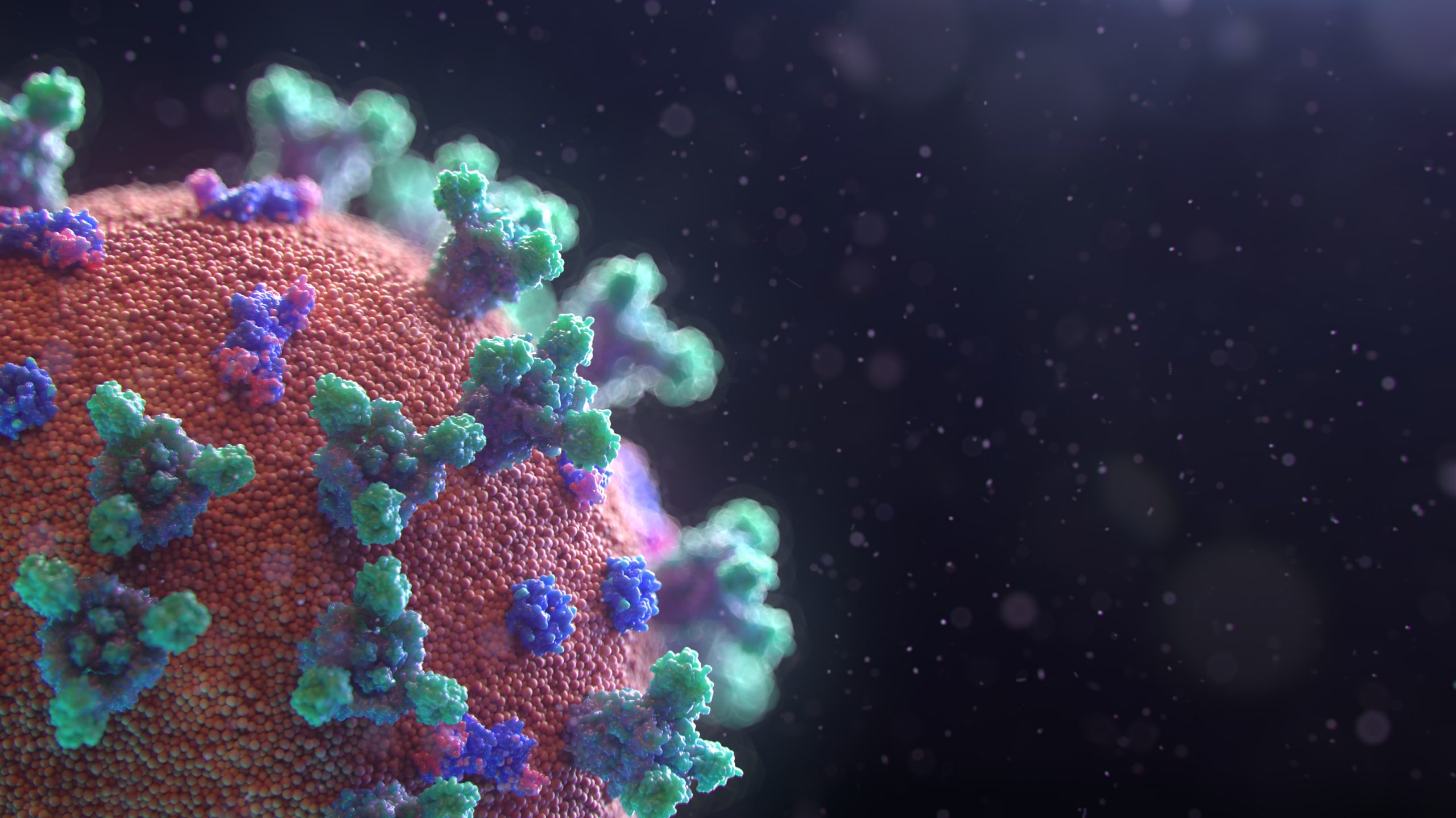 Corona Virus Message Image