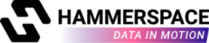 Hammerspace logo